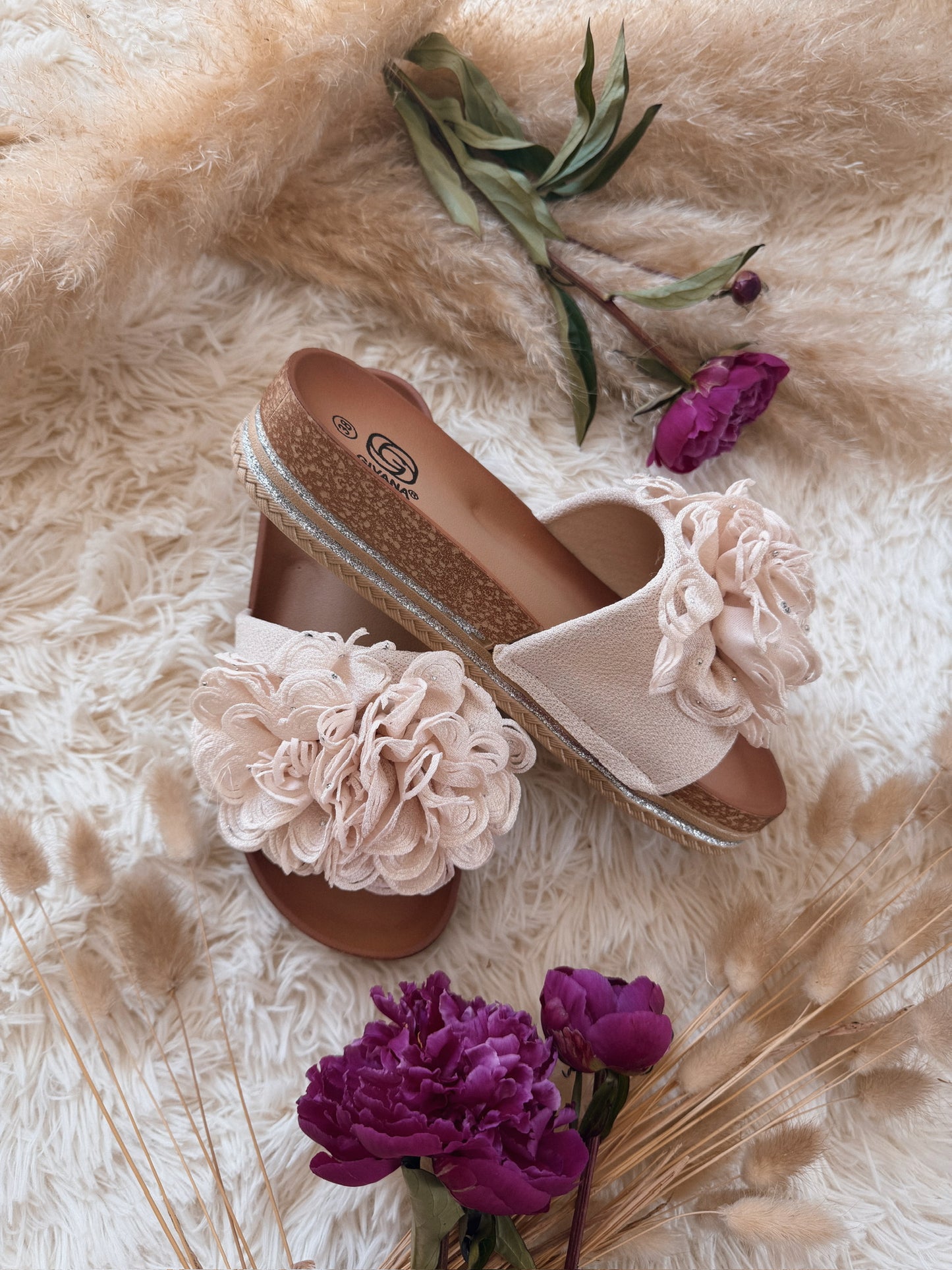 PANTOLETTEN BLOSSOM FLOWER